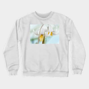 Erythronium dens-canis var. niveum  Dogs tooth violet  Trout lily Crewneck Sweatshirt